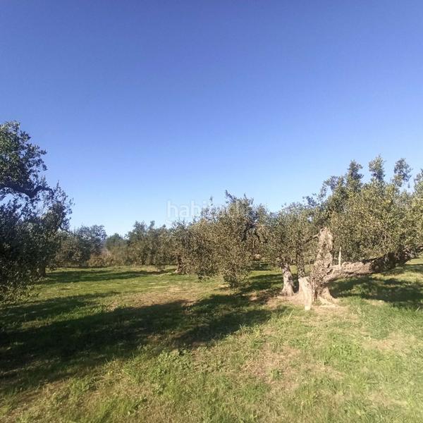 Foto 5a5fa023-c72c-4015-bd6d-d37189f76cf0. Terreno residencial terreno rústico en venta en aleixar l. en Aleixar (L´)