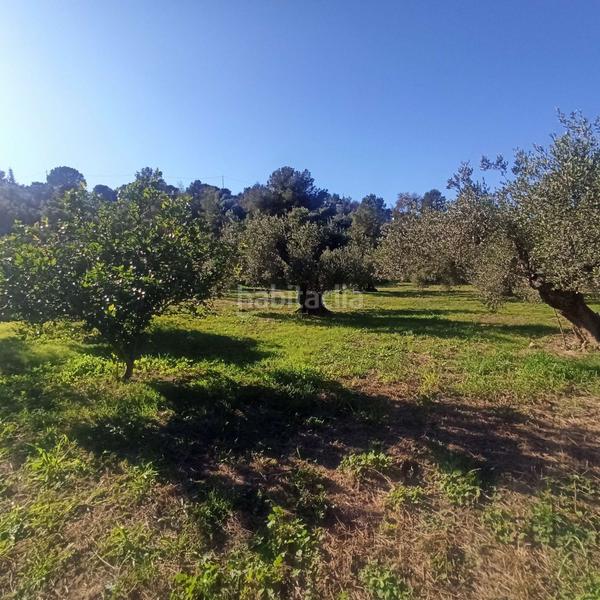 Foto a06b7fc3-7640-4ded-94a4-43e9f79b7238. Terreno residencial terreno rústico en venta en aleixar l. en Aleixar (L´)