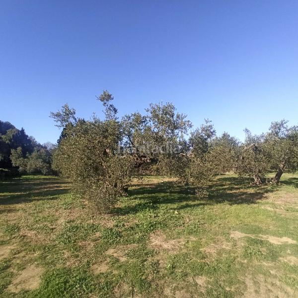 Foto a6e8a277-62e6-4716-941e-739aabcee49f. Terreno residencial terreno rústico en venta en aleixar l. en Aleixar (L´)