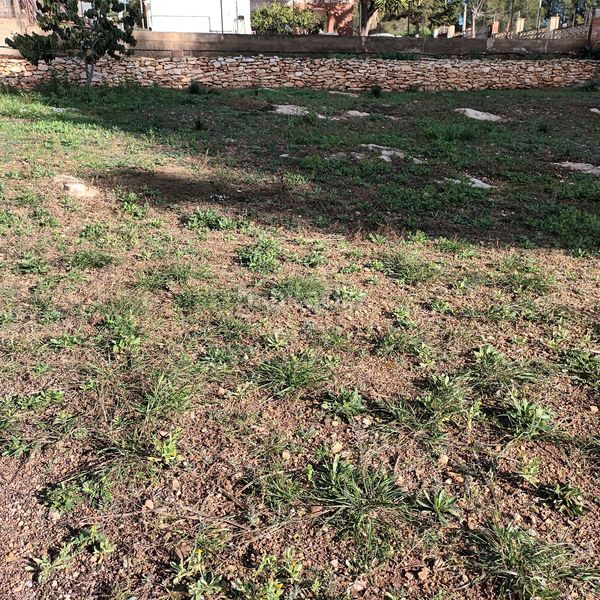 Foto a2d75075-24ca-4994-926e-d329a9eb330d. Terreny residencial a Catllar (El)