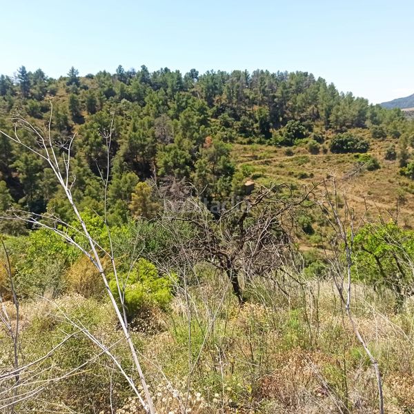 Foto 1899f2cb-d613-4f45-b27c-212730adbe4a. Masia a rocafort a Gratallops