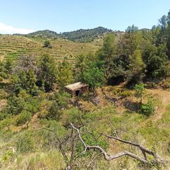 Masia  Rocafort. Finca rúst. en venta en gratallops.