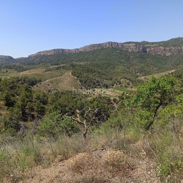 Foto 2b072dd1-7b3e-4013-8eb6-f9f05f5ffa21. Masia a rocafort a Gratallops