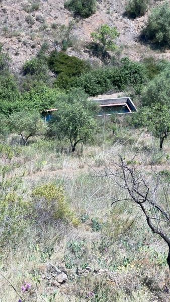 Foto 52b4a7cb-6b19-4dd9-88dc-f489aaac63e2. Masia a rocafort a Gratallops