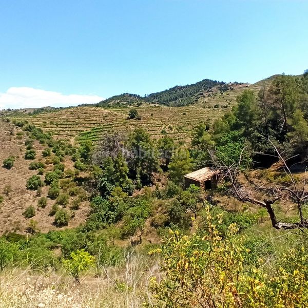Foto a2008d00-6015-4d58-b2d8-dd6c5fc53f2c. Masia a rocafort a Gratallops