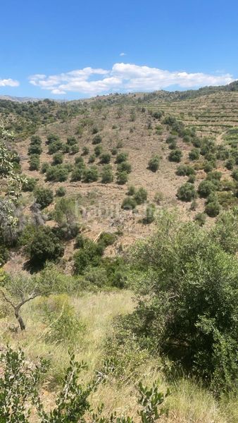 Foto b666b397-db86-49e4-a6e3-f5cd371ea5fa. Masia a rocafort a Gratallops
