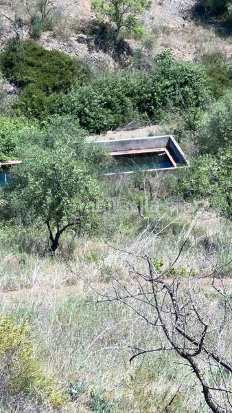 Foto e262c6b8-9452-4fb2-a352-913ef8b22f00. Masia a rocafort a Gratallops