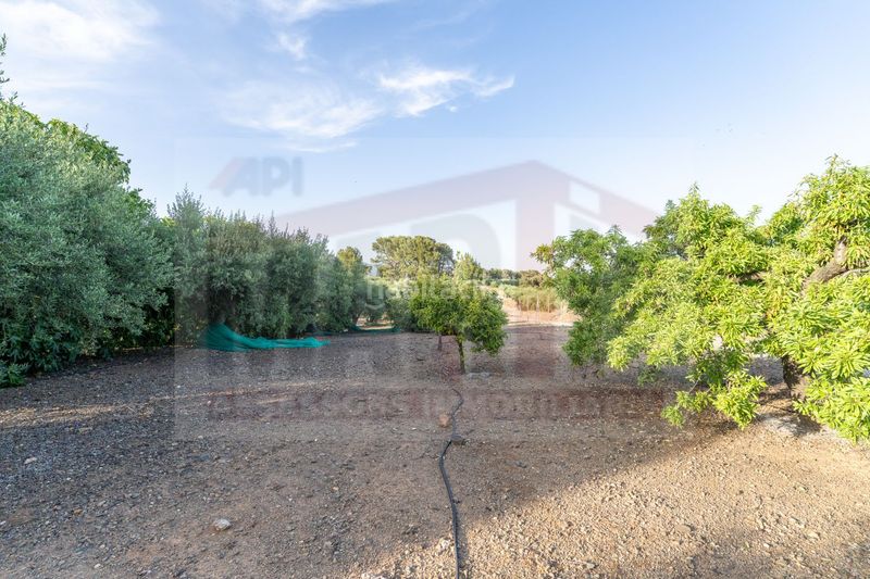 Foto 92799a13-f1cd-4457-87b7-fbe0a77d5557. Masia amb piscina a Botarell