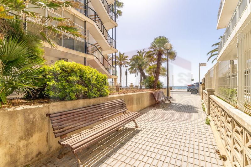Foto 7f47d41d-c259-4d26-9530-906c30840679. Pis a Platja de Ponent Salou