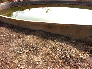Bauernhof in Constantí. Finca rúst. en venta en constanti.