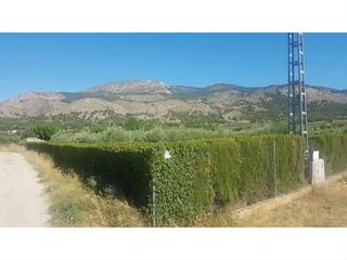 Terreny residencial a Onil. Parcela rustica zona marjal onil en venta