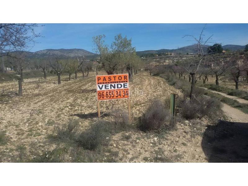 Foto 84f4a722-2349-424b-809b-1f45d2223d8e. Fondo rustico in Ibi