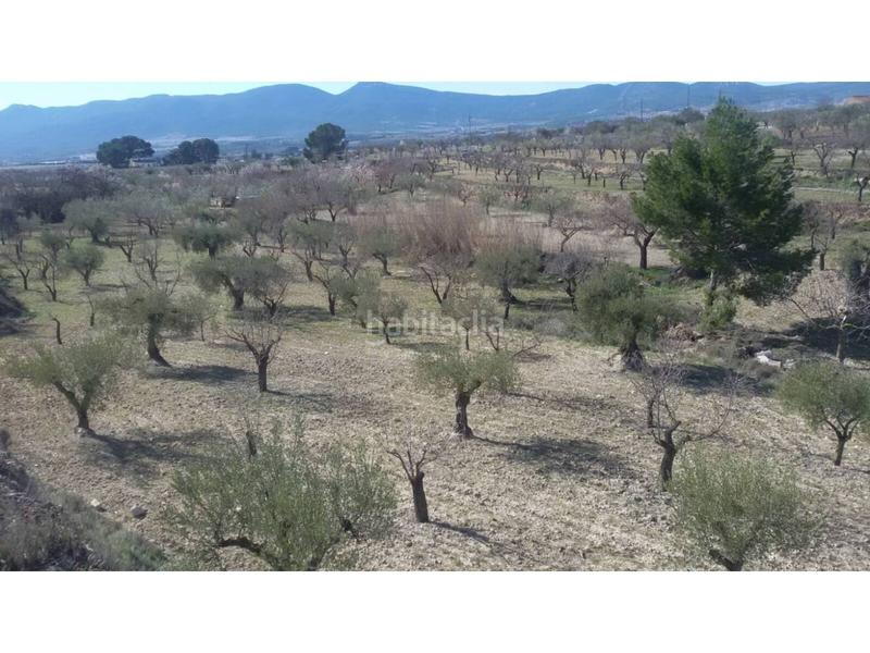 Foto 9d5d0b89-1d33-4483-ab72-5edaea52e479. Fondo rustico in Ibi