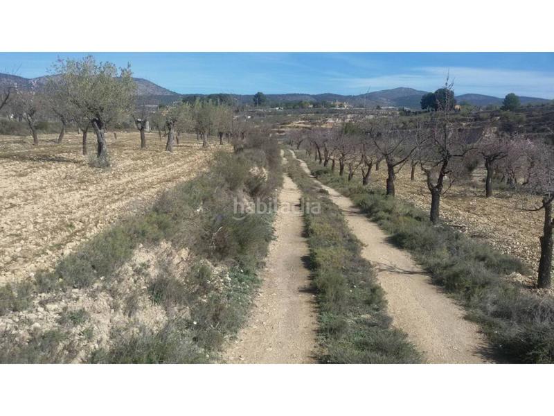 Foto de3bd0fc-f08c-4d50-a1b2-c01ce02f498f. Fondo rustico in Ibi