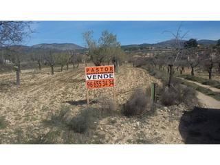 Terreny residencial  L´alfas. Rústico en venta