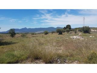 Terreny residencial  Partida pinoses. Terreno en venta en ibi