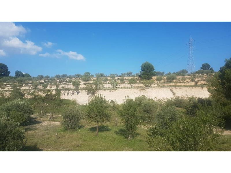 Foto 54b438c6-c123-4362-a0d4-efc0eb21e295. Fondo rustico in Ibi