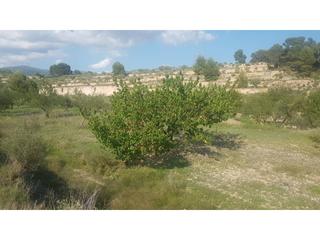 Finca rústica  Partida alfás-gorgás. Terreno rustico con parcela de 13.500 m2