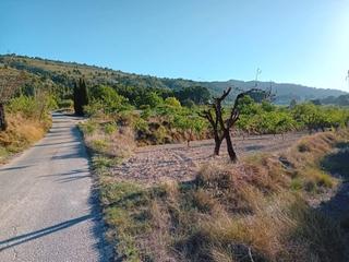 Finca rústica  Campos. Terreno rústico partida campos en venta