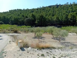 Finca rústica  Campos. Terreno rústico partida campos en venta