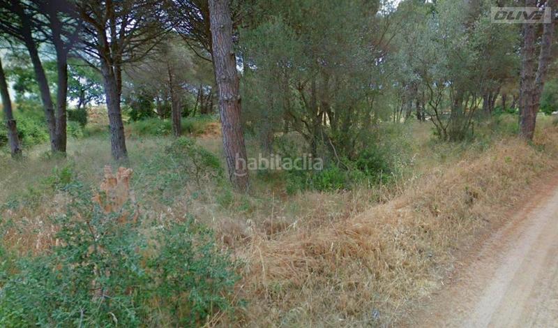 Foto 7b921835-6375-4337-903c-b752fa668da7. Terreno residencial en Castell d´Aro