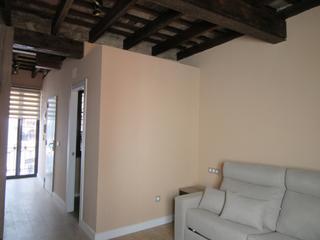 Miete Etagenwohnung  Valencia - palomar. Estudio en alquiler en el centro de valencia