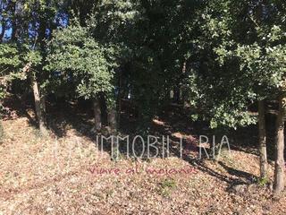 Terreny residencial a Carrer del castell de la popa 14. Terreno de 900 m2 con buenas vistas