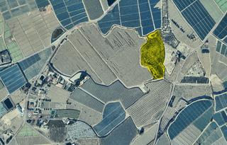 Finca rústica a Totana. Finca de regadío en venta en las quebradas, totana