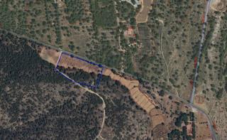 Finca rústica a Aledo. Venta 2 parcelas en aledo zona de las alquerias