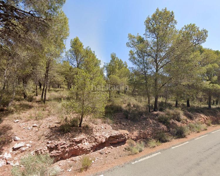 Foto 983cd950-1ffc-4922-bdaf-b50cd9a96ce0. Finca rústica venta tres parcelas rústicas en aledo zona mandola en Totana