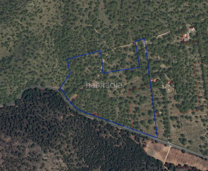 Foto ddeb8406-461e-4d89-bfef-3a7de6795d9a. Finca rústica venta tres parcelas rústicas en aledo zona mandola en Totana