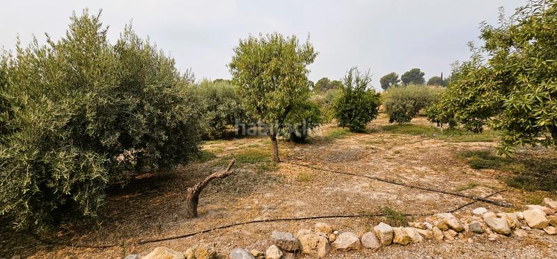 Foto a3935e6e-7c4b-44d2-ba82-10e4ba555fc7. Chalet venta chalet (morti- lentiscosa) piscina- garaje en Totana