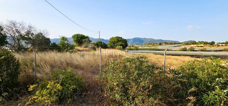 Foto 9442d16d-434e-4e74-8510-5612f9228a63. Chalet con camino parcheggio piscina in Aledo