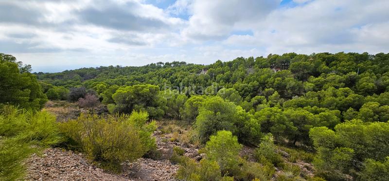 Foto f54f6772-6353-4d78-b0a0-b61c621708e8. Chalet con riscaldamento parcheggio in Totana