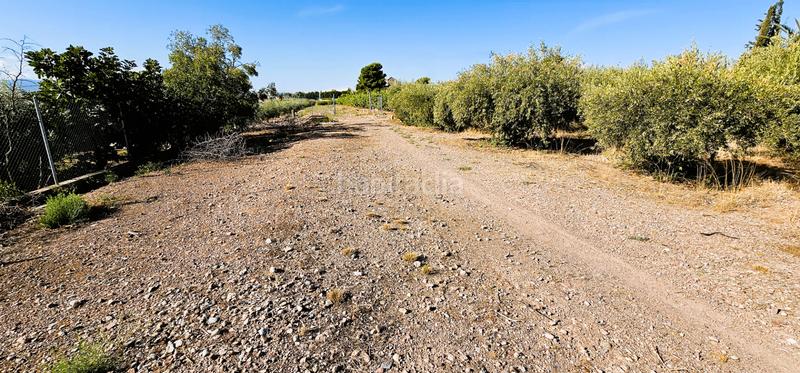 Foto 18e14fc5-d75d-405a-a029-2d3b207078f4. Masía venta huerto (la costera) en Totana