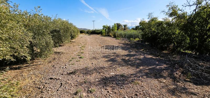 Foto 1e00b811-4a61-4046-9656-c7c7f1e093b1. Masía venta huerto (la costera) en Totana