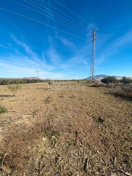 Foto be044a37-e4ff-445f-bf2b-4a34759011a1. Landgut in Totana