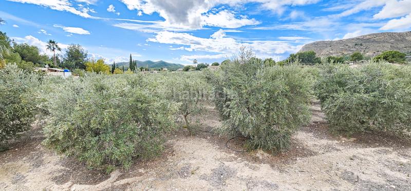 Foto 4f5180f9-b922-41a9-be70-11d65823c3c4. Finca rústica a Totana