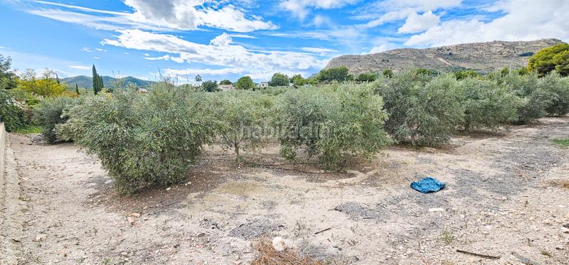 Foto 594c93ec-c8b8-4c0f-a747-c944772f90d1. Finca rústica a Totana