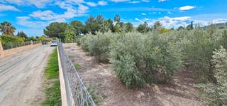 Finca rústica en Totana. Venta parcela rustica (la huerta) + 1 acción de agua