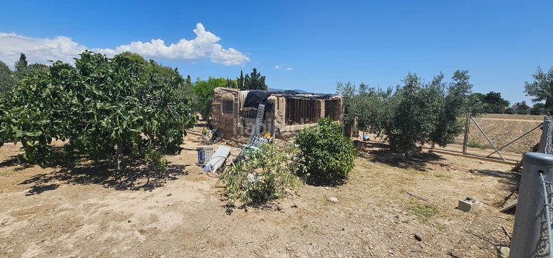 Foto 014ced99-d933-4035-8364-35cdfd23344c. Finca rústica a Totana