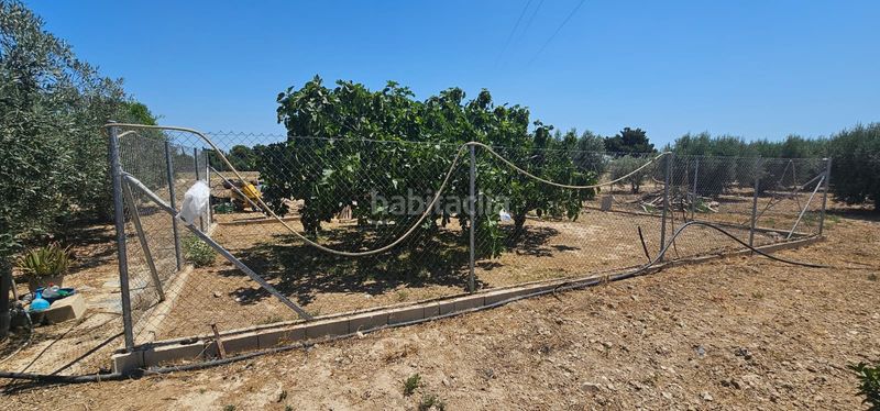 Foto 52a905ff-407c-468e-982c-62790ac1fe25. Finca rústica a Totana