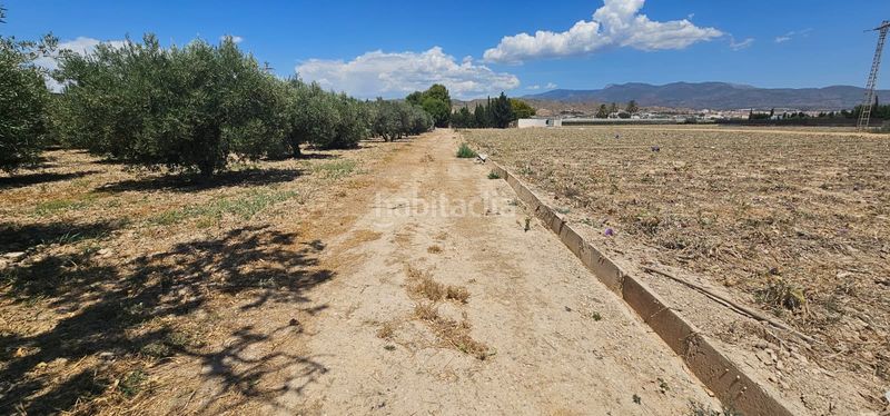 Foto 545803d1-bec6-4395-bb1e-1b02a7f0b755. Finca rústica a Totana
