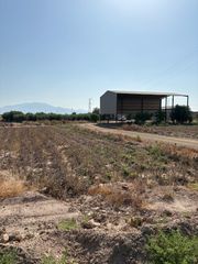 Finca rústica a Totana. Venta finca rústica polígono industrial el saladar