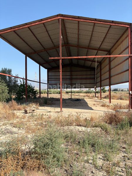 Foto d52c1efb-bafe-4710-ad75-574aa1642a4f. Finca rústica a Totana