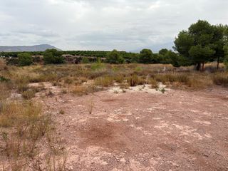 Fondo rustico in Alhama de Murcia Ciudad. Terreno rústico de 11.558 m² en los cordones, alhama de murcia