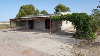 Rural plot in Aledo. Finca rústica