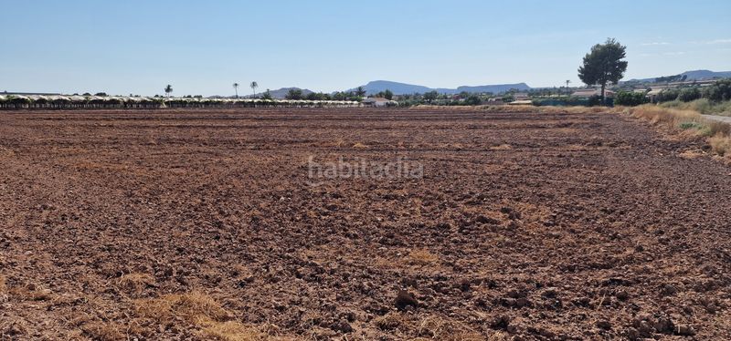 Foto 1c02a482-86e0-4eac-8458-a399510986a3. Finca rústica a n/a a Totana