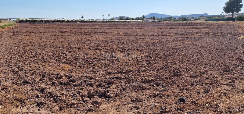 Foto a3127b69-6c15-4821-a025-0ffcb1c9a25a. Finca rústica a n/a a Totana