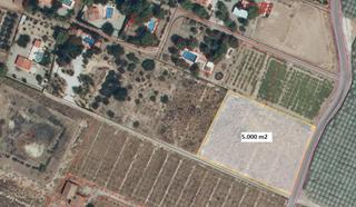 Finca rústica a Totana. Venta parcela camino los yesares